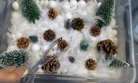 Bac sensoriel hiver : neige, pommes de pin et activités