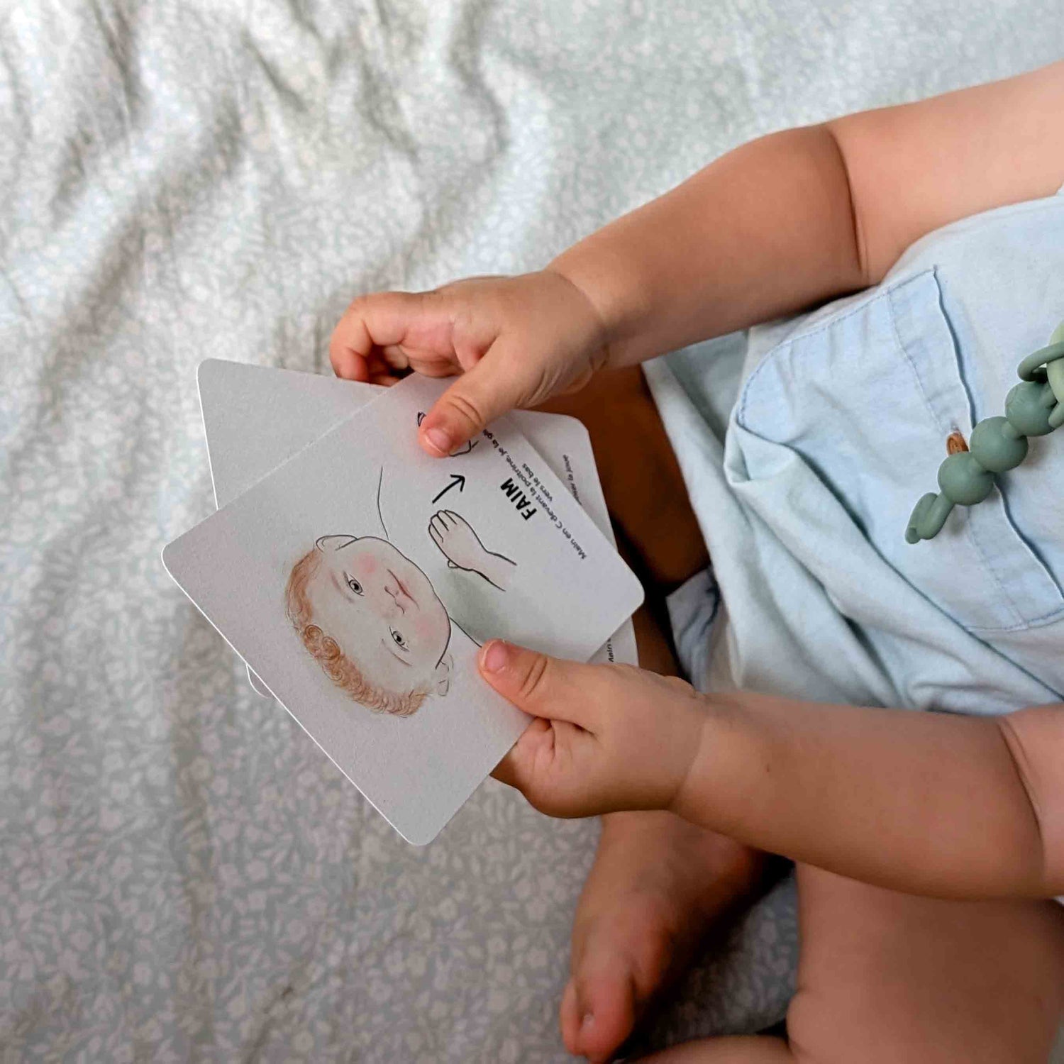 bébé tient les cartes bébé signe la ptite ourse